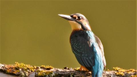 Wetter-Fotos Burkhard Kling Stammheim