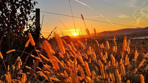 Wetterbilder