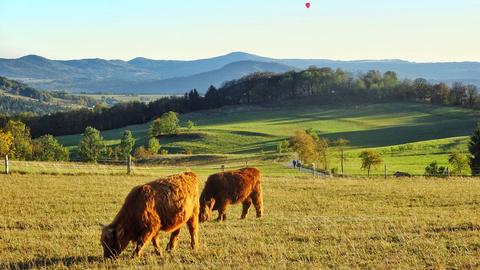 Wetterbilder