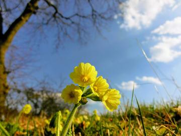 Wetterbilder hallo hessen