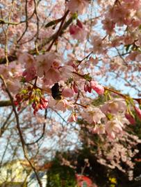 Wetterbilder hallo hessen