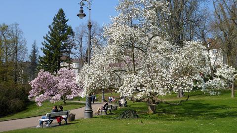 Wetterbilder hallo hessen