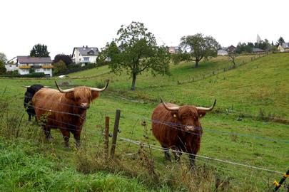 Wetterbilder hallo hessen