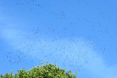 Wetterbilder hallo hessen