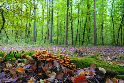 hallo hessen Wetterbilder