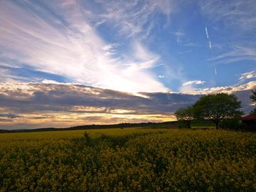 Wetterbilder