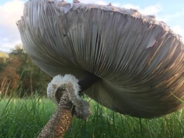 Wetterbilder hallo hessen