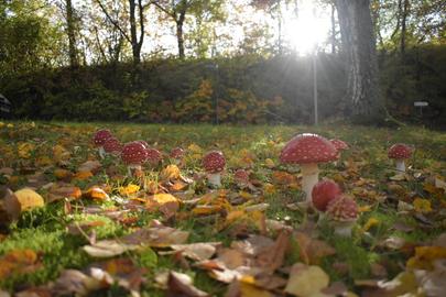 hallo hessen Wetterbilder