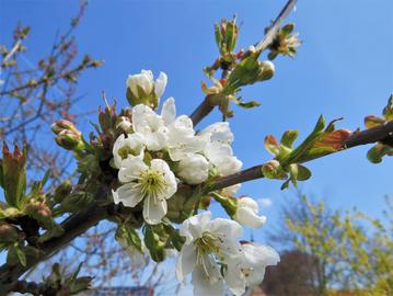 Wetterbilder