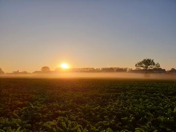 Wetterbilder hallo hessen