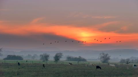 Wetterfotos November 2018