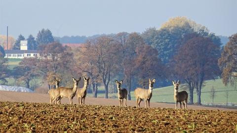 Wetterbilder hallo hessen