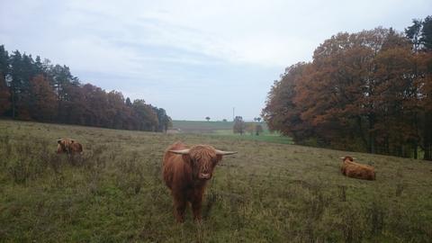 Wetterfotos hallo hessen