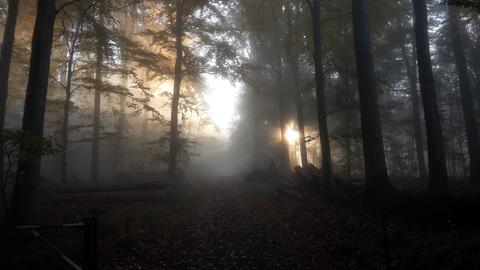 Wetterfotos hallo hessen