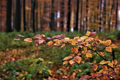 Wetterfotos hallo hessen