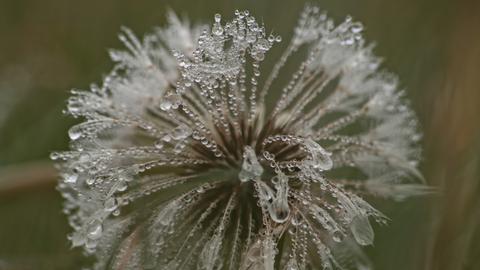 Wetterfotos hallo hessen