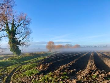 Wetterfotos Dezember 2019 (20.-27.)