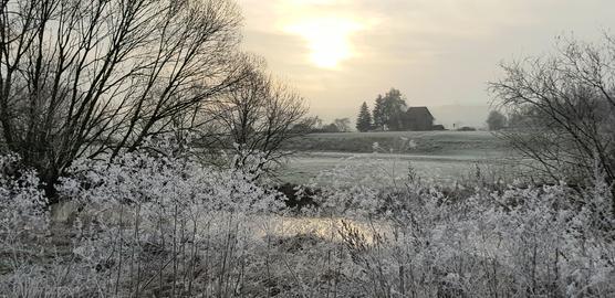 Wetterfotos 2019 KW50