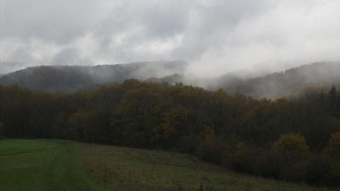 Wetterfotos 2019 KW45 