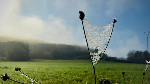 Wetterfotos 2019 KW45 