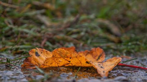 Wetterfotos 2019 KW45 