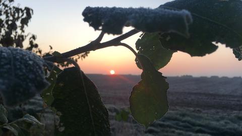 Wetterfotos 2019 KW45 