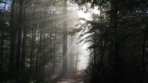 Wetterfotos Ende Oktober 2019