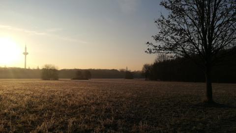 Sonnenaufgang über einem Feld, im Hintergrund der Fernsehturm Frankfurts. 