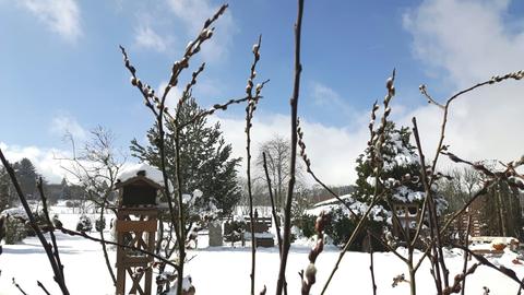 Wetterfotos vom März 2020