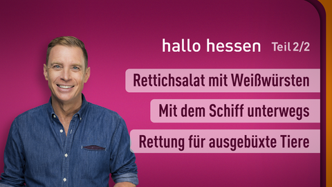 Moderator Jens Kölker sowie die Themen von "hallo hessen" am 05.07.2024: Rettichsalat mit Weißwürsten, Mit dem Schiff unterwegs, Rettung für ausgebüxte Tiere