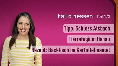 Moderatorin Selma Üsük sowie die Themen bei "hallo hessen" am 25.10.2024: Tipp: Schloss Alsbach, Tierrefugium Hanau, Rezept: Backfisch im Kartoffelmantel