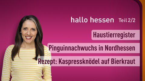 Moderatorin Selma Üsük sowie die Themen bei "hallo hessen" - Teil 2 vom 31.01.2025: Haustierregister, Pinguinnachwuchs in Nordhessen, Rezept: Kaspressknödel auf Bierkraut