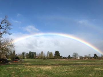 Wetterfotos hallo hessen - März 2020