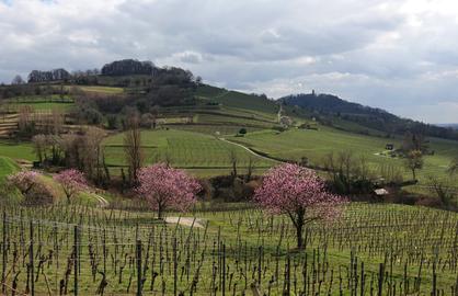 Wetterfotos hallo hessen - März 2020