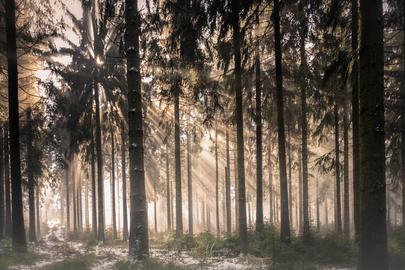 Wetterfotos vom März 2020