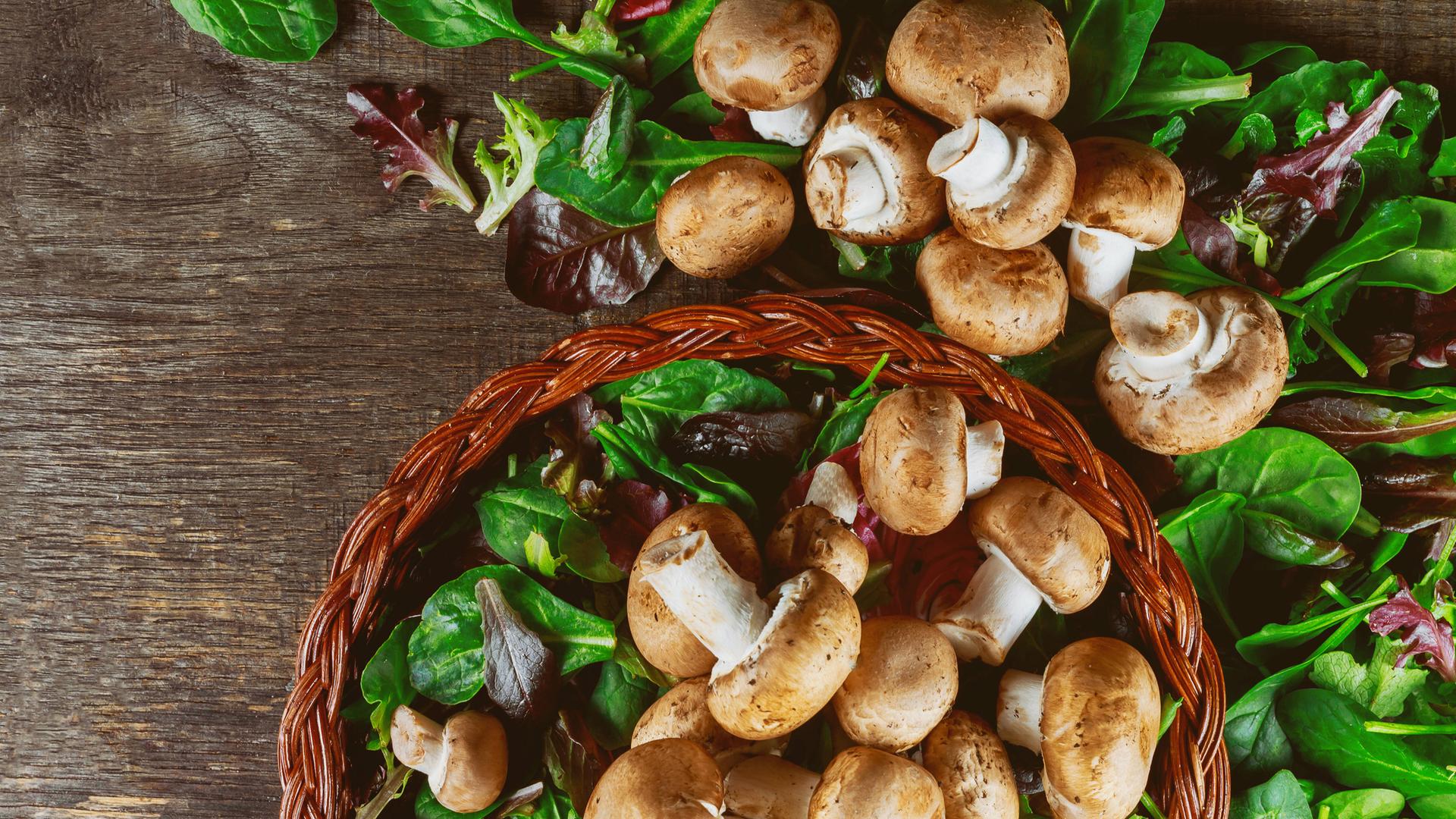 Rezept: Feldsalat mit Champignons an warmer Kartoffelsauce | hr ...