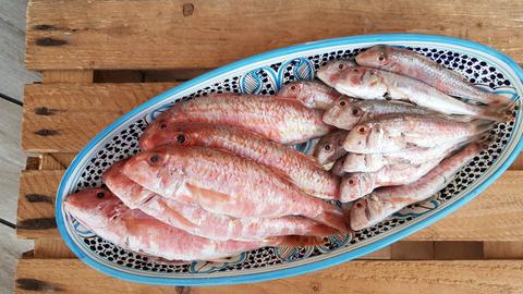 Gebratenes Wolfsbarschfilet mit weißen Bohnen und Wurzelgemüse