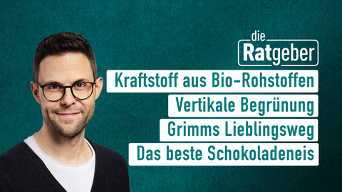 Moderatorin Kai Fischer sowie die Themen bei "Die Ratgeber" vom 14.08.2024: Kraftstoff aus Bio-Rohstoffen, Vertikale Begrünung, Grimms Lieblingsweg, Das beste Schokoladeneis