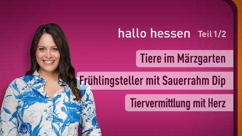 Moderatorin Leonie Koch sowie die Themen bei "hallo hessen" - Teil 1 vom 10.03.2025: Tiere im Märzgarten, Frühlingsteller mit Sauerrahm Dip, Tiervermittlung mit Herz