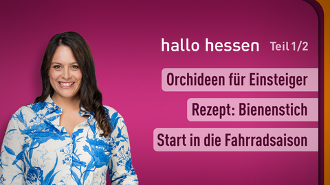 Moderatorin Leonie Koch sowie die Themen bei "hallo hessen" - Teil 1 vom 13.03.2025: Orchideen für Einsteiger, Rezept: Bienenstich, Start in die Fahrradsaison