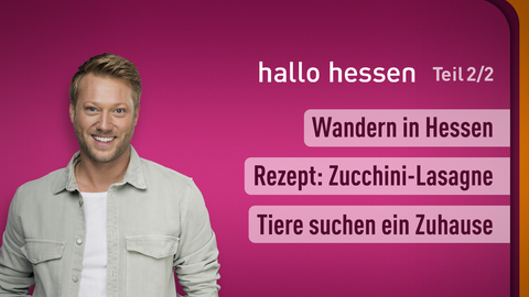 Moderator Jens Pflüger sowie die Themen bei "hallo hessen" am 12.08.2024: Wandern in Hessen, Rezept: Zucchini-Lasagne, Tiere suchen ein Zuhause