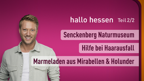 Moderator Jens Pflüger sowie die Themen bei "hallo hessen" am 14.08.2024: Senckenberg Naturmuseum - ein Klassiker, Hilfe bei Haarausfall, Marmeladen aus Mirabellen und Holunder