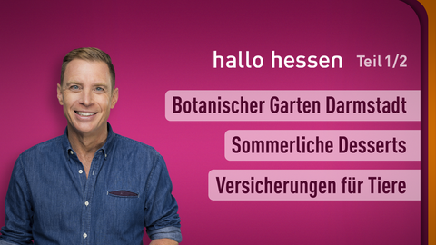 Moderator Jens Kölker sowie die Themen von "hallo hessen" am 02.07.2024: Botanischer Garten Darmstadt, Sommerliche Desserts, Versicherungen für Tiere