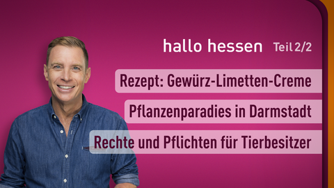 Moderator Jens Kölker sowie die Themen von "hallo hessen" am 02.07.2024: Rezept: Gewürz-Limetten-Creme, Pflanzenparadies in Darmstadt, Rechte und Pflichten für Tierbesitzer