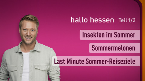 Moderator Jens Pflüger sowie die Themen bei "hallo hessen" am 09.07.2024: Insekten im Sommer, Sommermelonen, Last Minute Sommer-Reiseziele