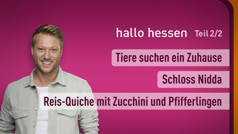 Moderator Jens Pflüger sowie die Themen bei "hallo hessen" am 02.09.2024: Tiere suchen ein Zuhause, Schloss Nidda, Rezept: Reis-Quiche mit Zucchini und Pfifferlingen