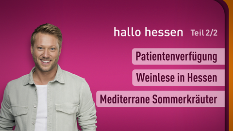 Moderator Jens Pflüger sowie die Themen bei "hallo hessen" am 03.09.2024: Weinlese in Hessen, Patientenverfügung, Mediterrane Sommerkräuter