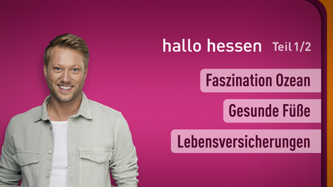 Moderator Jens Pflüger sowie die Themen bei "hallo hessen" am 04.09.2024: Faszination Ozean, Gesunde Füße, Lebensversicherungen