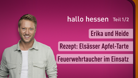 Moderator Jens Pflüger sowie die Themen bei "hallo hessen" am 05.09.2024: Erika und Heide, Rezept: Elsässer Apfel-Tarte, Feuerwehrtaucher im Einsatz