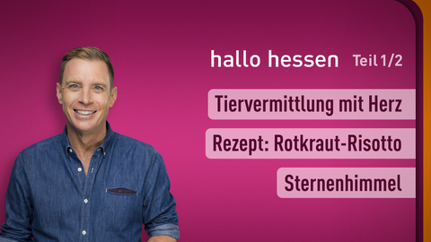 Moderator Jens Kölker sowie die Themen bei "hallo hessen" vom 04.11.2024: Tiervermittlung mit Herz, Rezept: Rotkraut-Risotto, Sternenhimmel